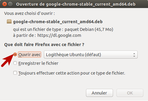 03 google chrome ubuntu