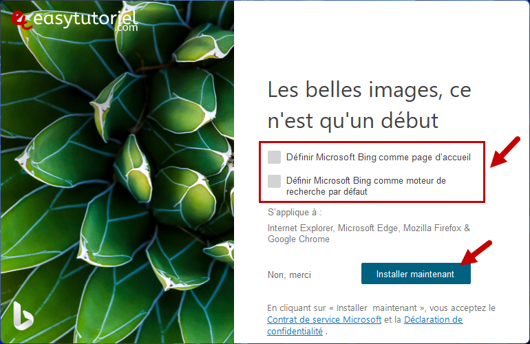 bing changer fond d ecran windows 11 quotidien 2 installation