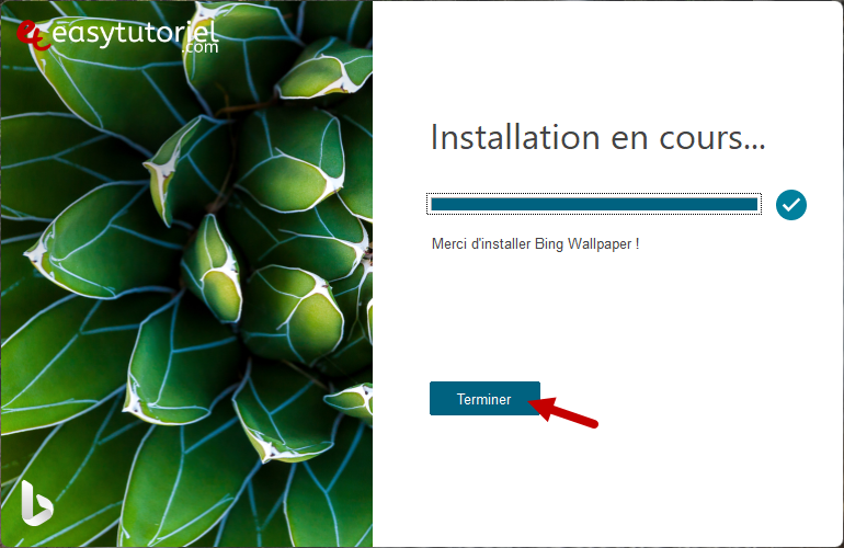 bing changer fond d ecran windows 11 quotidien 3 terminer