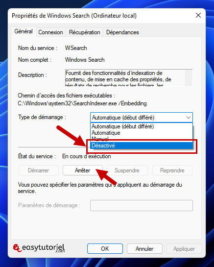 disque usage 100 gestionnaire des taches 4 wsearch windows search
