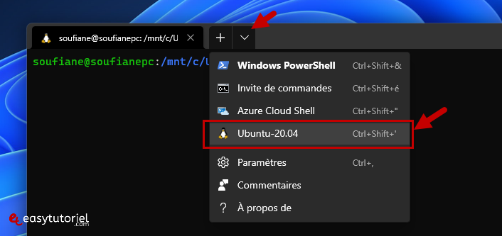 installer ansible windows 11 wsl ubuntu yml 2 windows terminal ubuntu 20