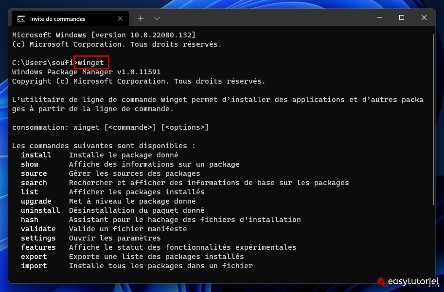 installer logiciels programmes essentiels windows 11 cmd invite de commandes windows terminal 1
