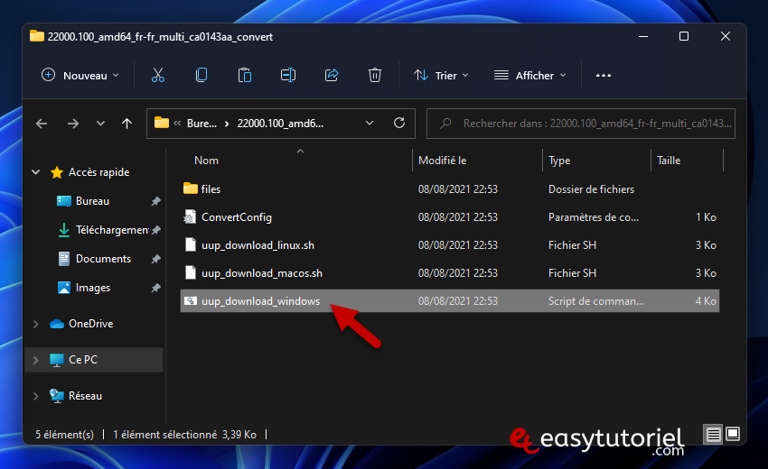 telecharger ISO windows 11 windows 10 UUP dump officiel microsoft 8 download windows cmd