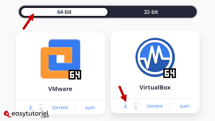 telecharger installer kali linux ova virtualbox machine virtuelle windows 11 2
