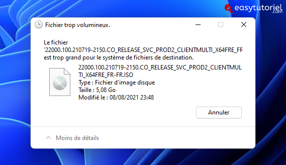 fichier trop volumineux erreur windows solution