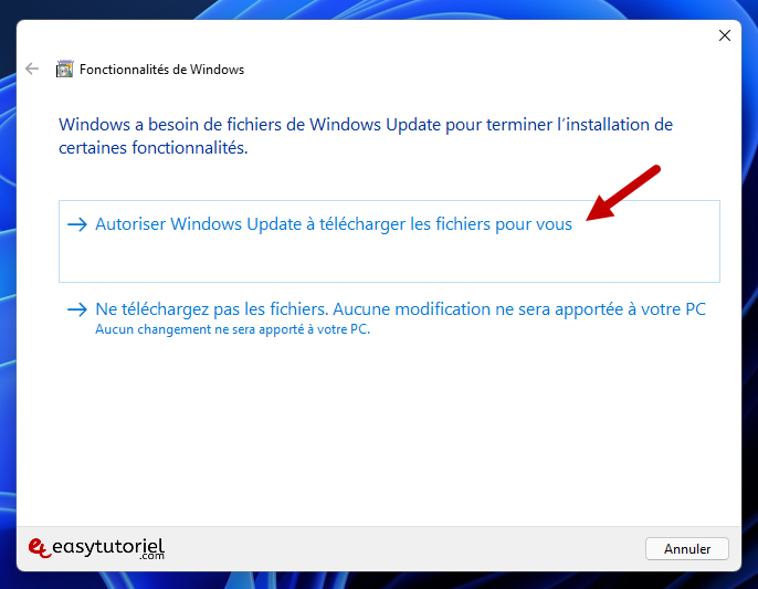 installer net framework 3 5 4 autoriser windows update
