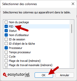 pid processus windows 3 selectionner des colonnes pid