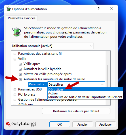 reparer mise en veille windows 11 11 autoriser les minuteurs