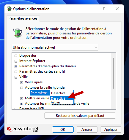 reparer mise en veille windows 11 21 autoriser la mise en veille hybride