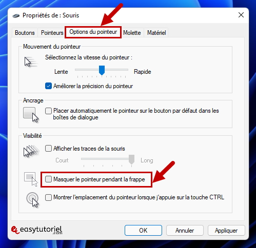 reparer molette roulette clic windows 10 masquer le pointeur pendant la frappe