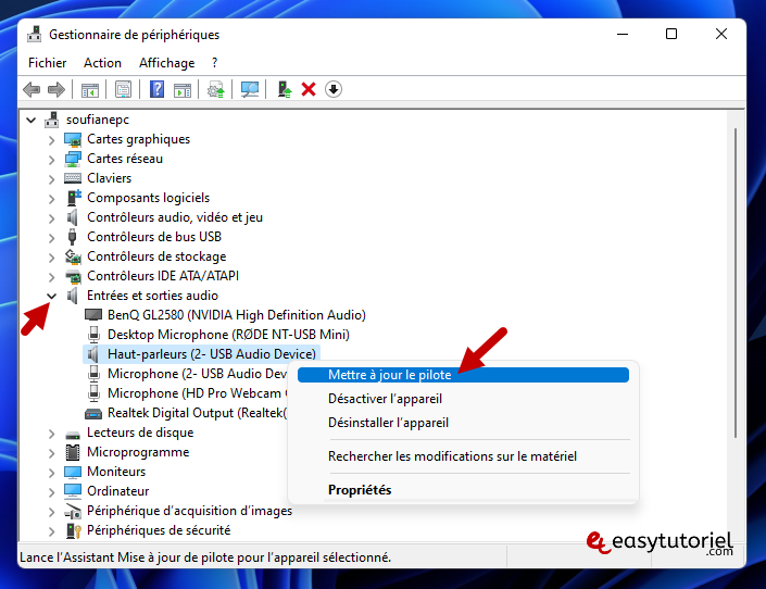 reparer probleme son windows 11 9 mettre a jour le pilote