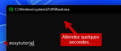 vider cache windows 11 17 wsreset