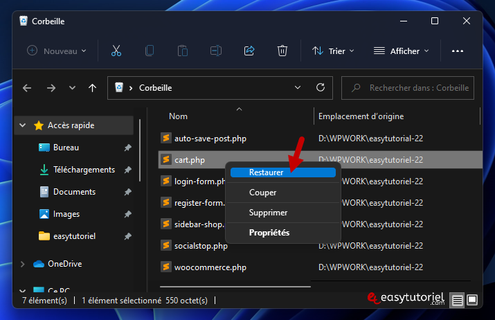 reparer ce fichier dossier est trop volumineux pour la corbeille windows 11 4