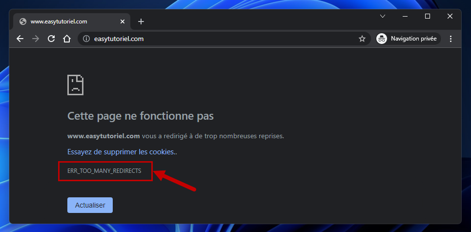 erreur err too many redirects google chrome windows