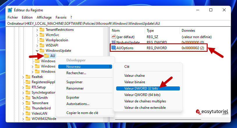 bloquer windows update 11 nouvelle valeur dword auoptions windowsupdate