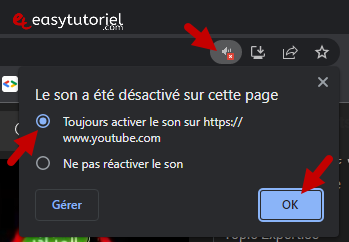 pas de son youtube 2 sont muet desactive