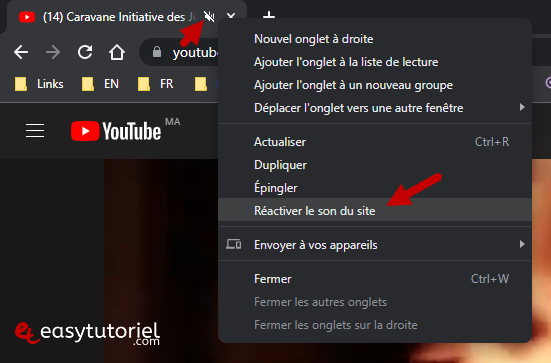 pas de son youtube 3 reactiver son du site chrome