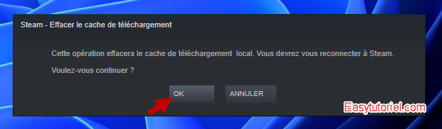 steam ne se lance pas 10 cette operation cache telechargement local