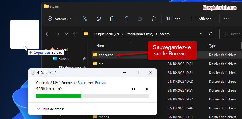 steam ne se lance pas 7 sauvegarder appcache bureau