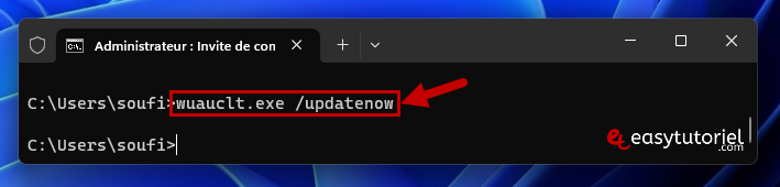 microsoft store telechargement bloque 9 wuauclt exe updatenow cmd