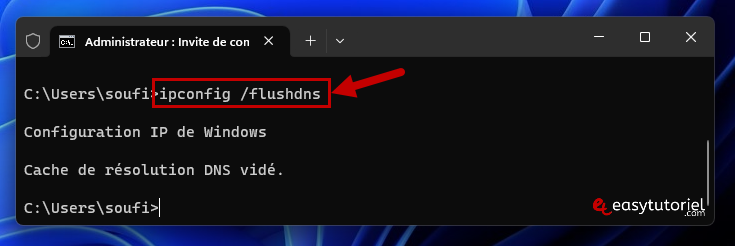 reseau non identifie ethernet 5 ipconfig flushdns