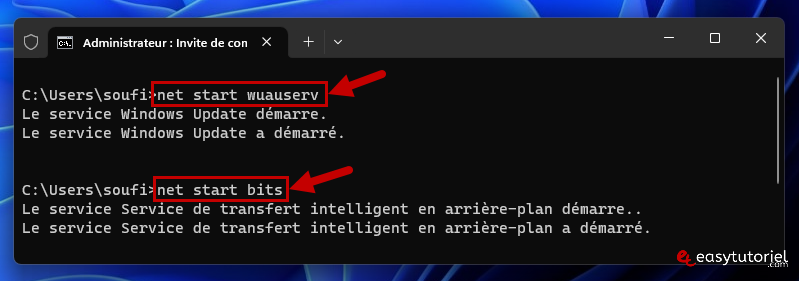 windows update 12 net start wuauserv bits