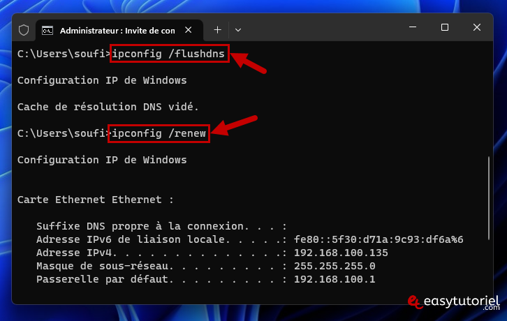 cmd ipconfig flushdns renew