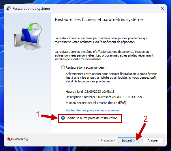 erreur code 10 windows 20 choisir un autre point de restauration