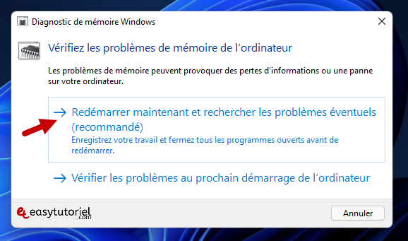 verifier memoire ram 2 diagnostic