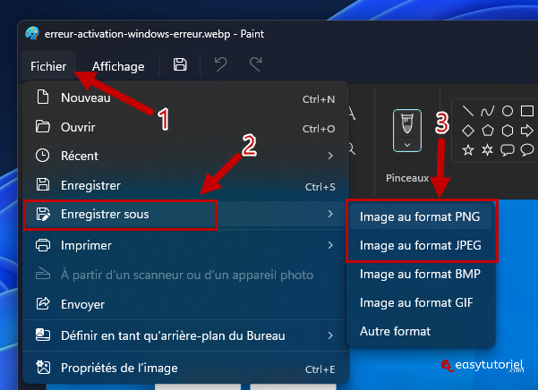 webp en png ou jpg 2 enregistrer sous jpg png