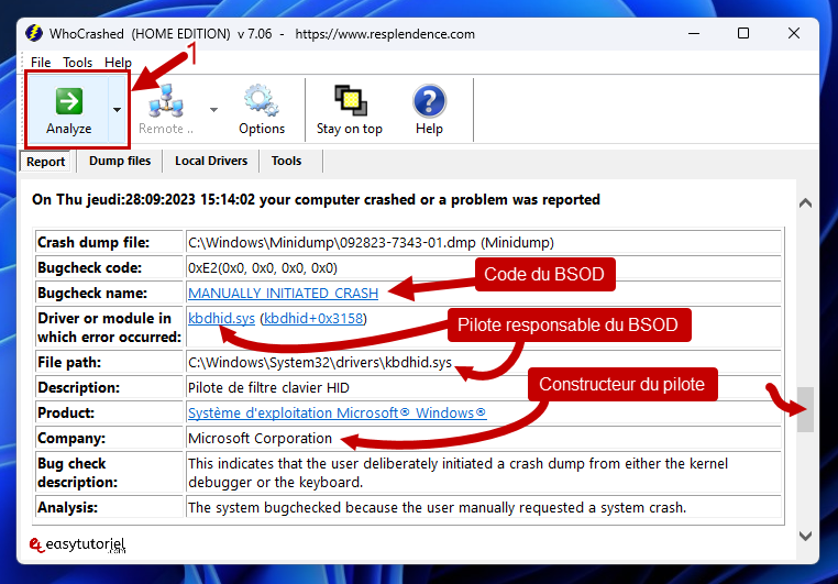 whocrashed analyze resultat