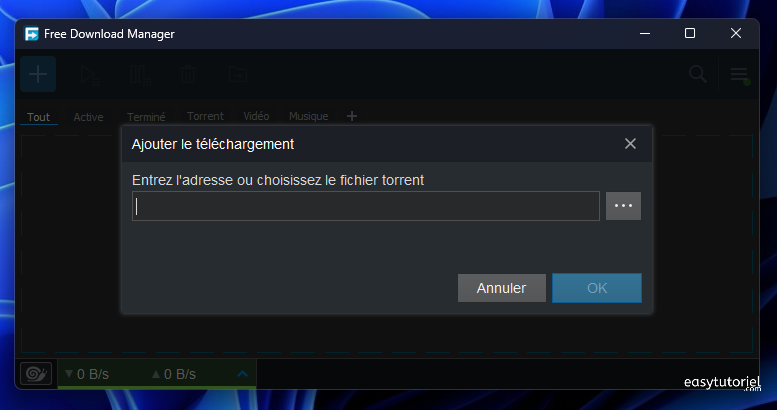 ajouter le telechargement free download manager