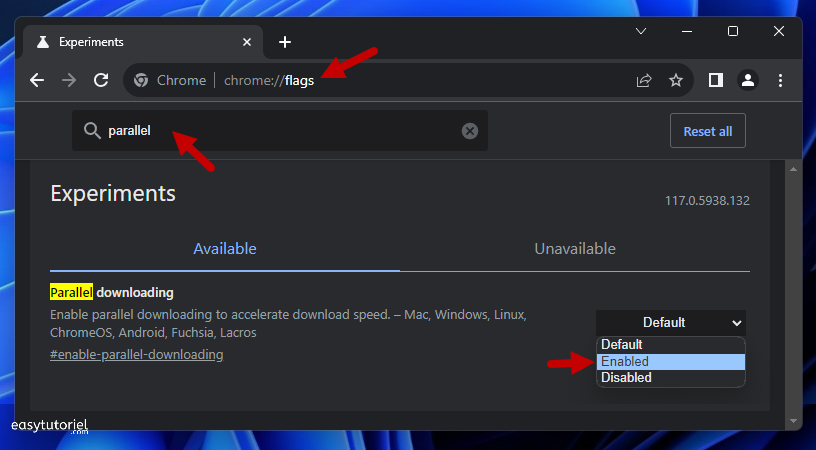 chrome flags parallel downloading