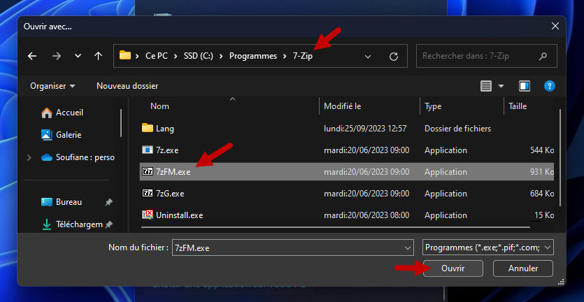 erreur winrar endommage inconnu 10