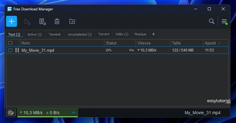 free download manager en cours