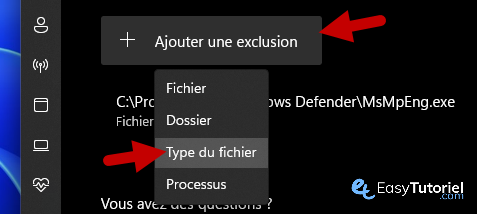 Antimalware Service Executable 100 13 type du fichier