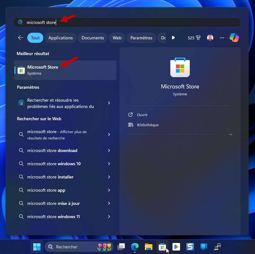 microsoft store demarrer