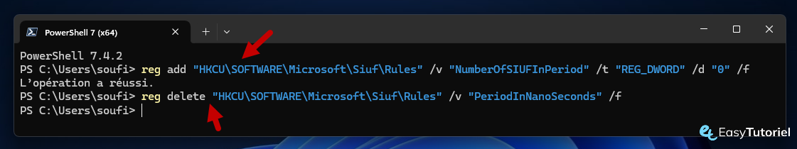 reg add rules reg delete hub