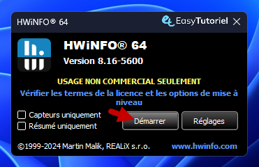 connaitre gpu carte graphique 10 demarrer hwinfo 64