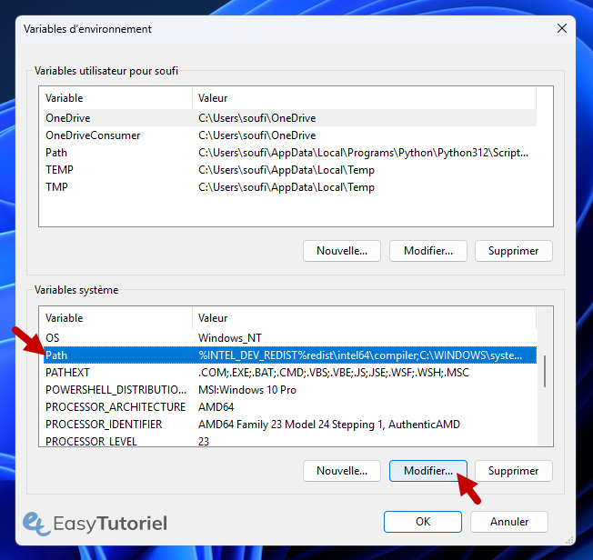 path systeme modifier