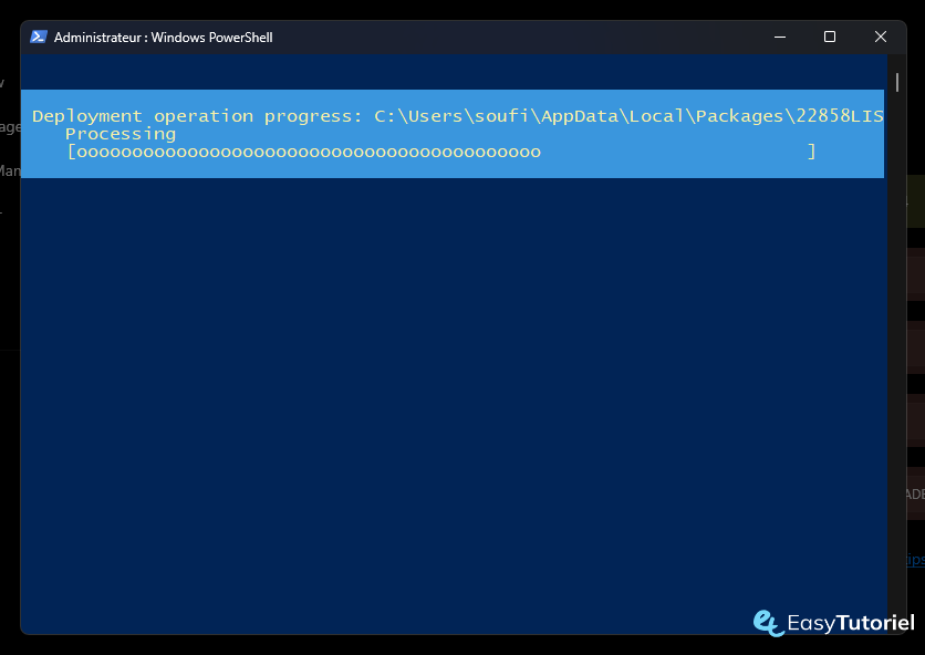 wsa manager apk installer windows 10 installation en cours de wsa