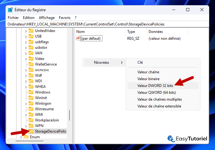 editeur du registre protection ecriture 2 nouveau valeur dword 32
