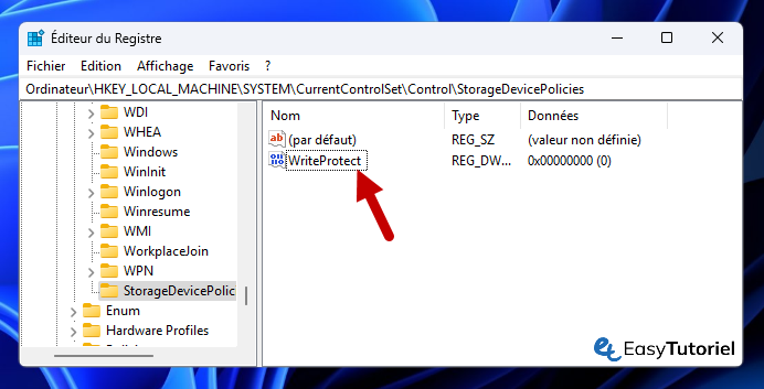 editeur du registre protection ecriture 3 writeprotect dword