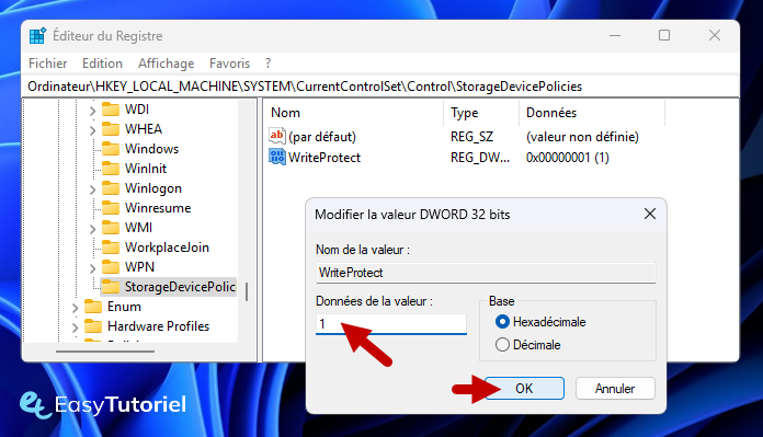 editeur du registre protection ecriture 4 writeprotect 1 dword