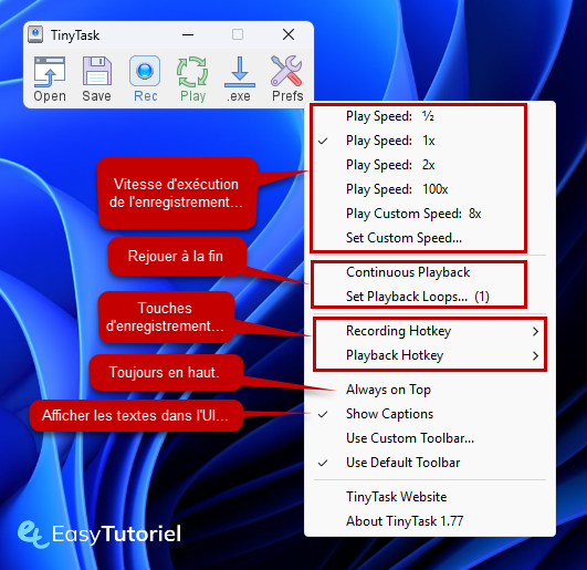 tinytask preferences