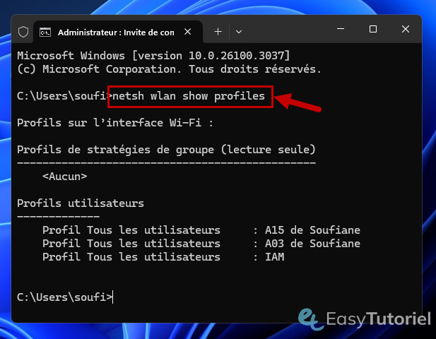 cmd netsh wlan show profiles