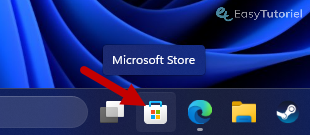 microsoft store