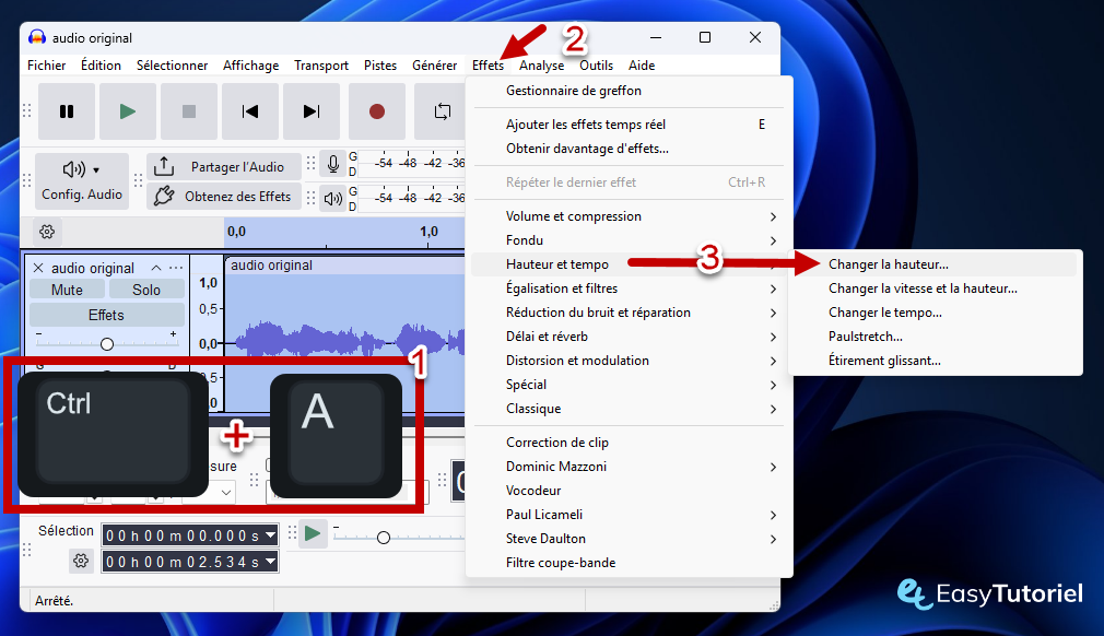 audacity selectionner tout effets changer la hauteur