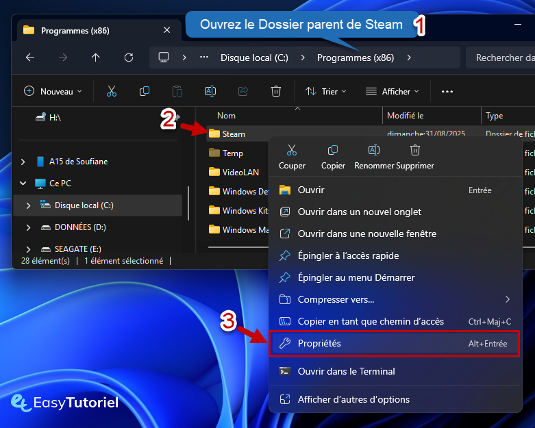 dossier steam programmes proprietes