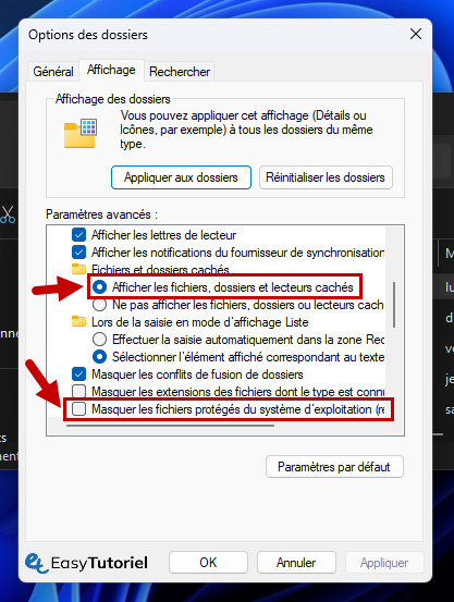 affichage afficher fichiers caches proteges options des dossiers